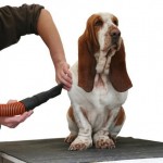 Grooming